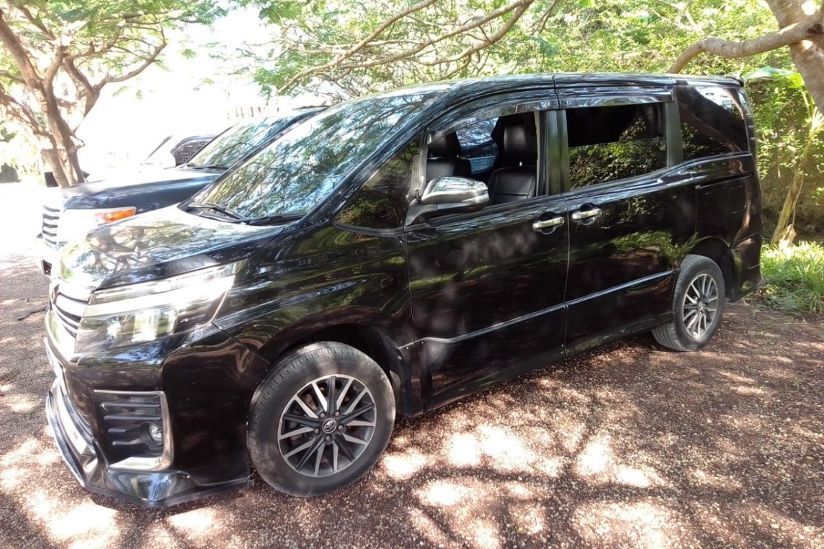 Family Van (Toyota Noah / Voxy)